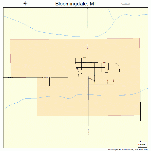 Bloomingdale, MI street map