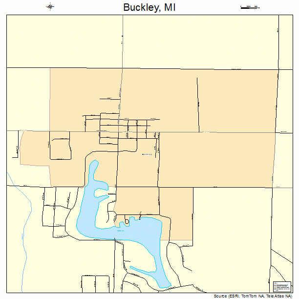 Buckley, MI street map