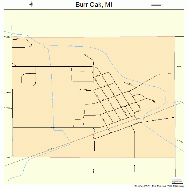 Burr Oak, MI street map