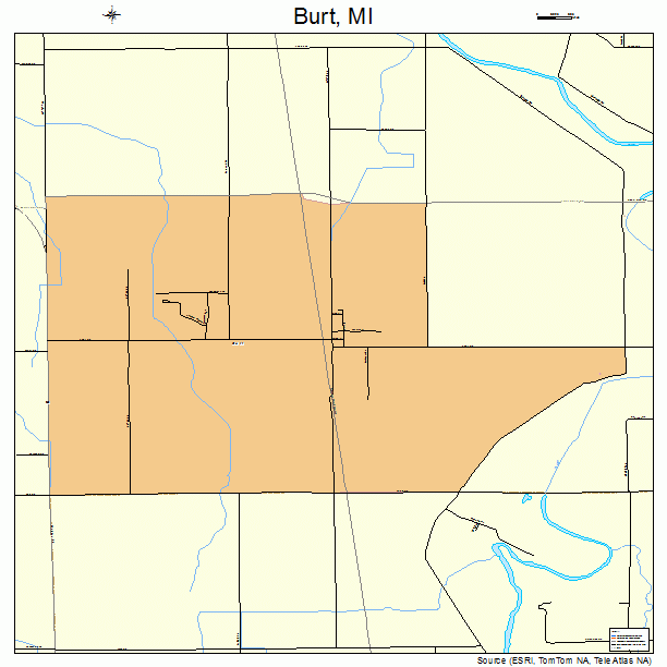 Burt, MI street map