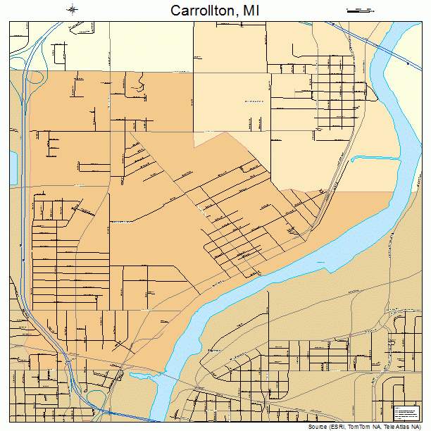 Carrollton, MI street map