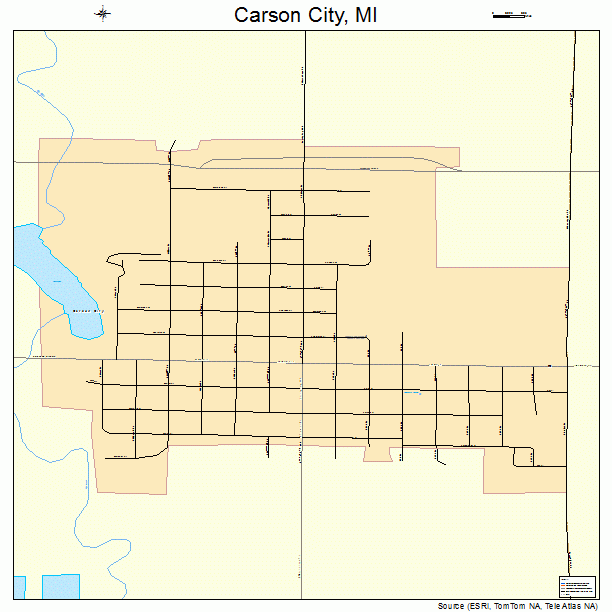 Carson City, MI street map