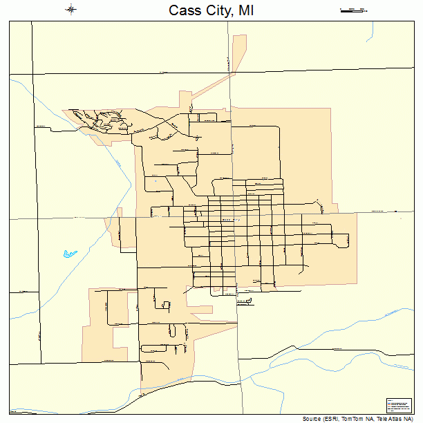 Cass City, MI street map