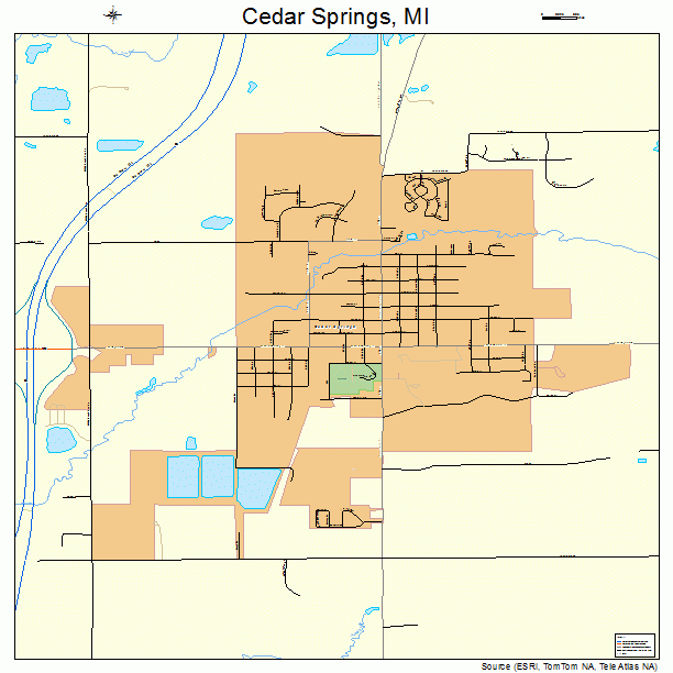 Cedar Springs, MI street map