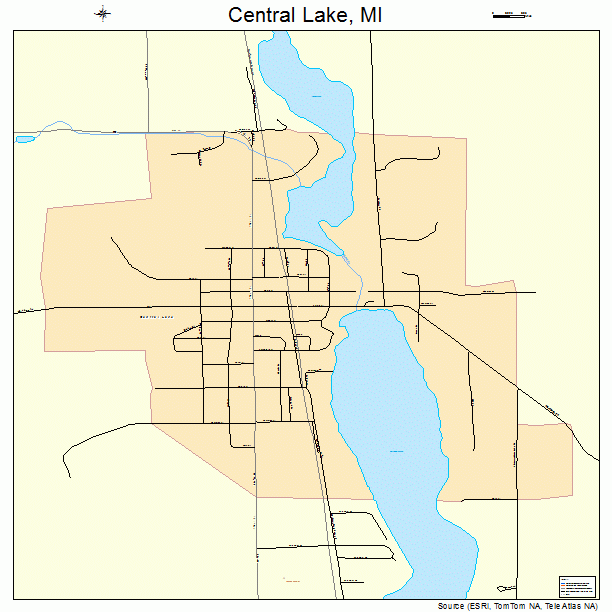 Central Lake, MI street map