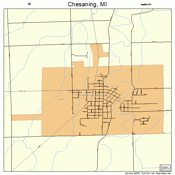 Chesaning, MI street map