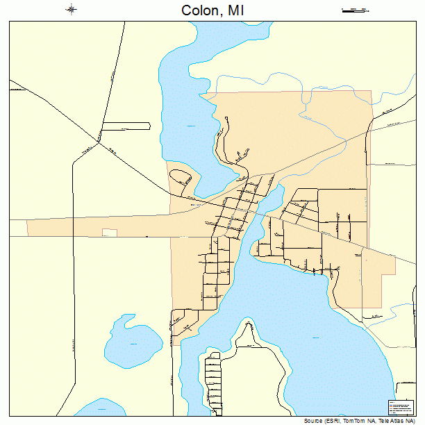 Colon, MI street map