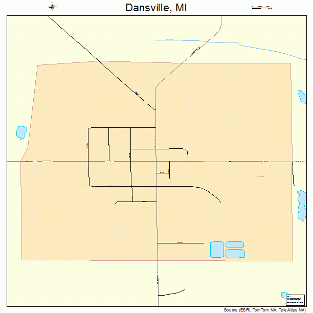 Dansville, MI street map