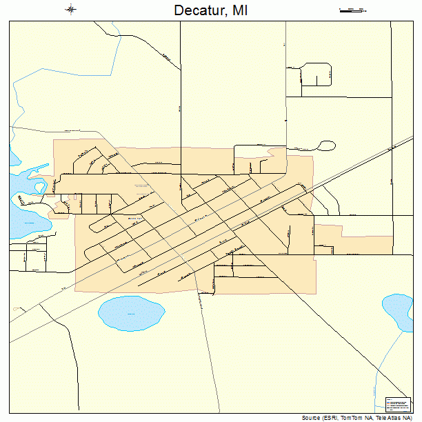 Decatur, MI street map