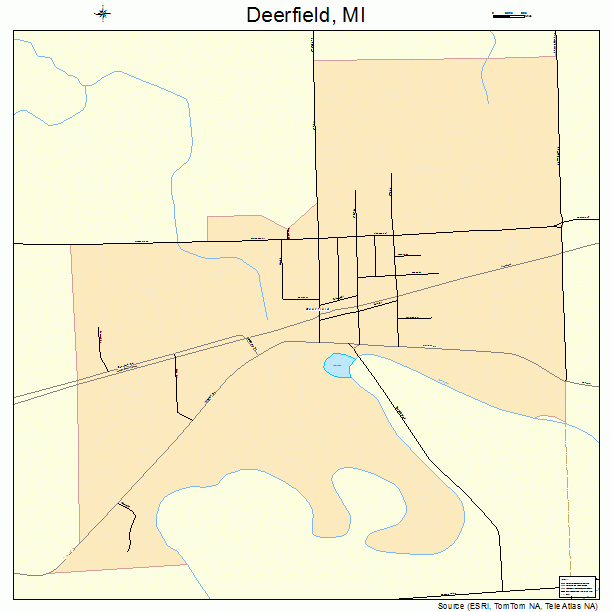 Deerfield, MI street map