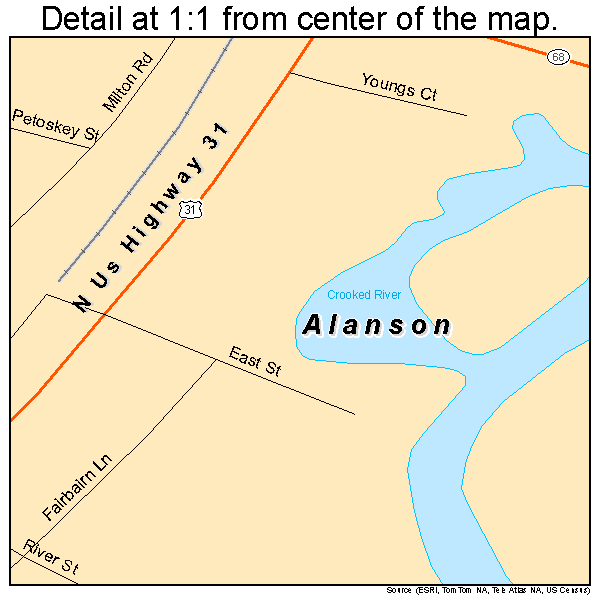 Alanson, Michigan road map detail