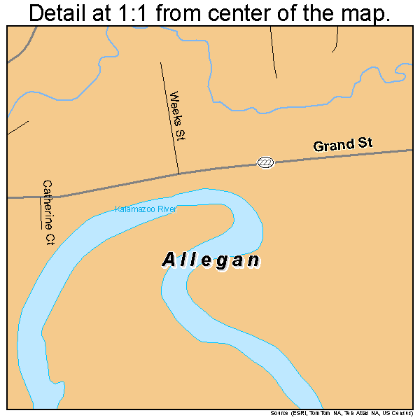 Allegan, Michigan road map detail
