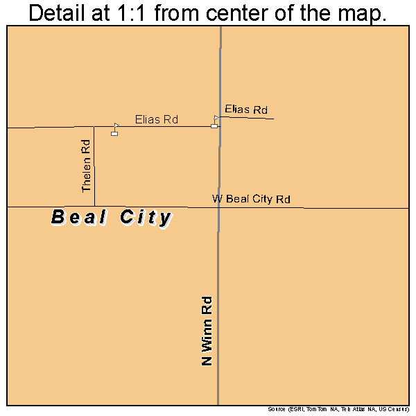 Beal City, Michigan road map detail