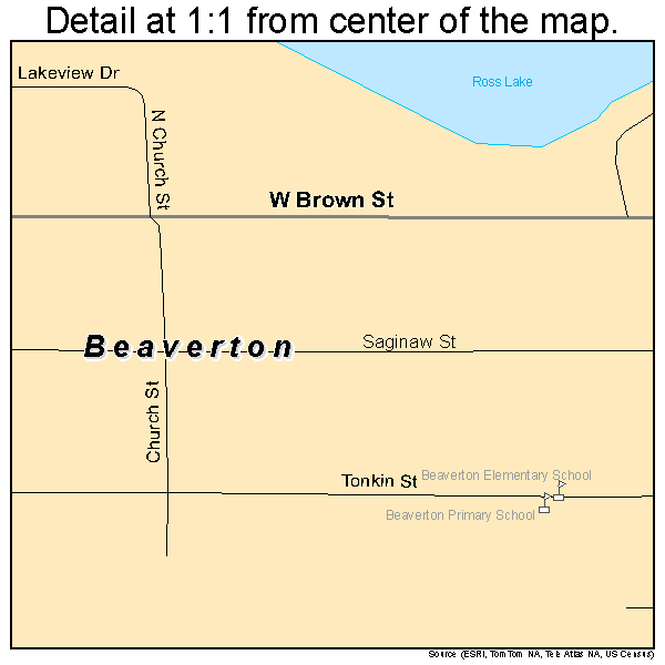 Beaverton, Michigan road map detail