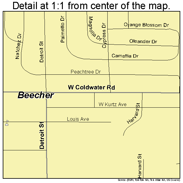 Beecher, Michigan road map detail