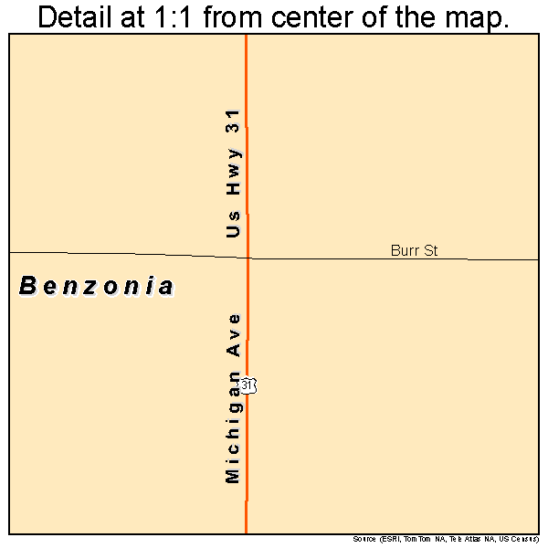 Benzonia, Michigan road map detail