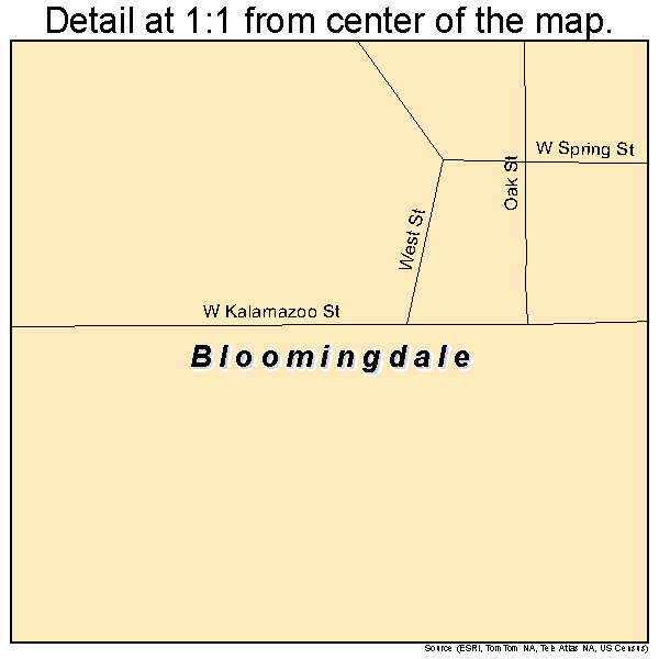 Bloomingdale, Michigan road map detail