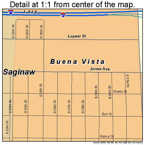 Buena Vista, Michigan road map detail