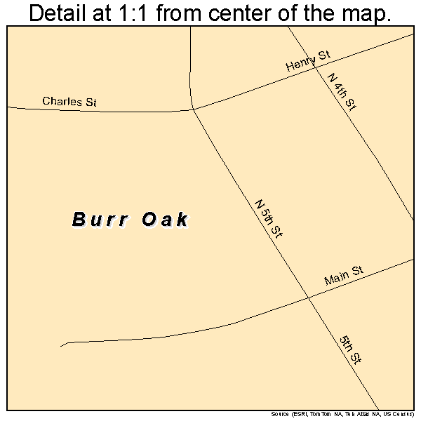 Burr Oak, Michigan road map detail