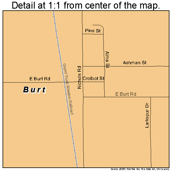 Burt, Michigan road map detail