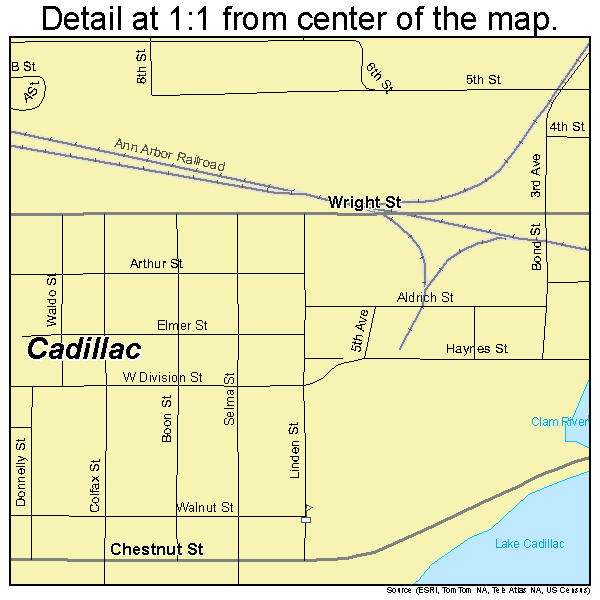 Cadillac, Michigan road map detail