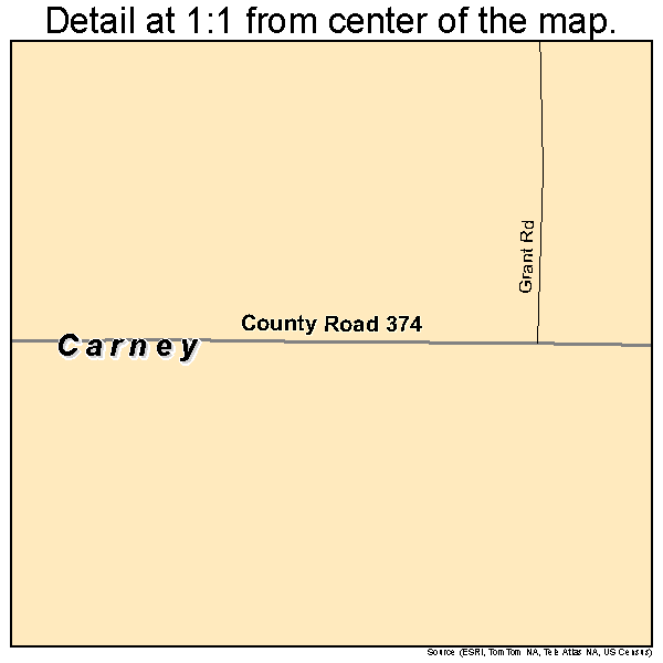 Carney, Michigan road map detail