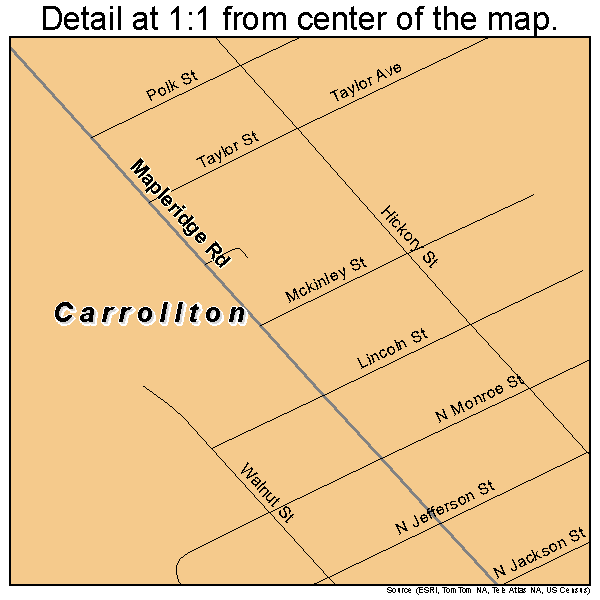 Carrollton, Michigan road map detail