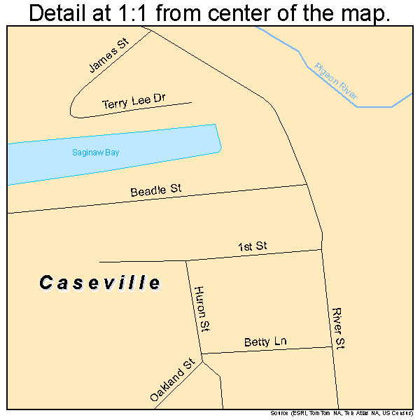 Caseville, Michigan road map detail
