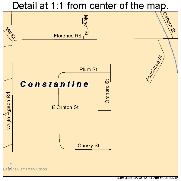 Constantine, Michigan road map detail