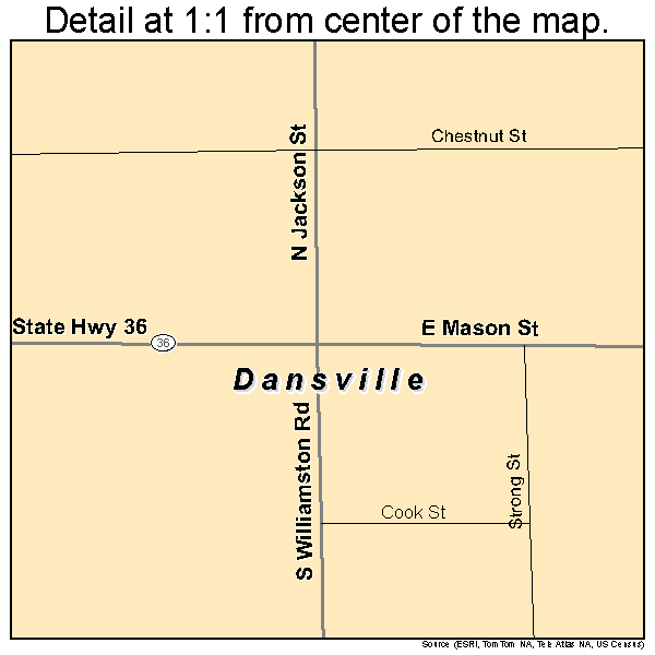 Dansville, Michigan road map detail