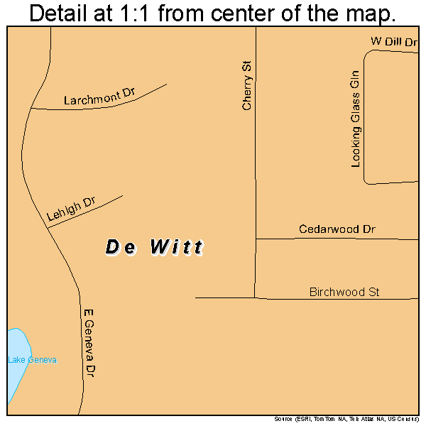 De Witt, Michigan road map detail