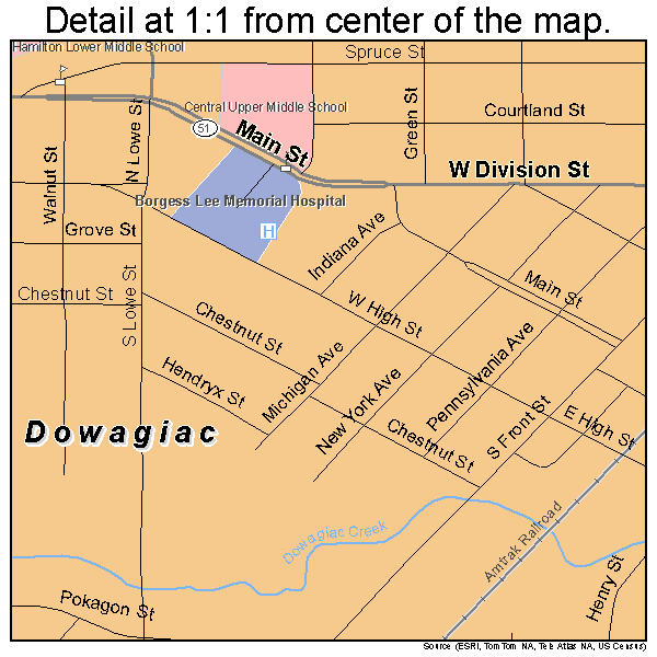 Dowagiac, Michigan road map detail