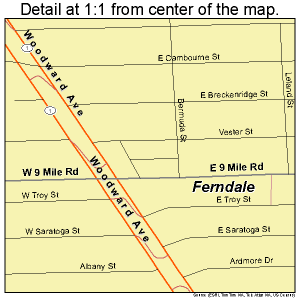 Ferndale, Michigan road map detail
