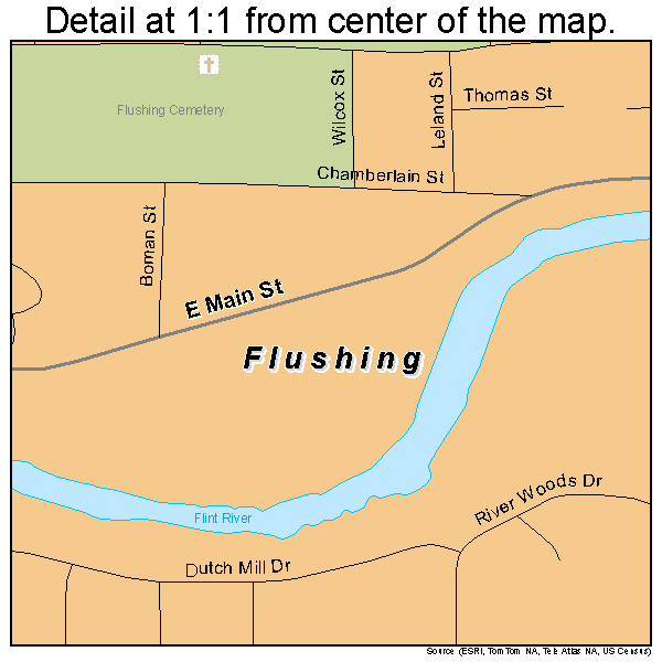 Flushing, Michigan road map detail