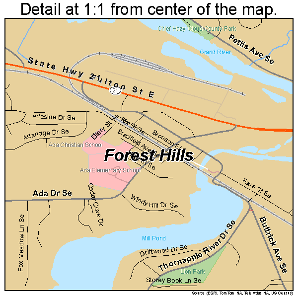 Forest Hills, Michigan road map detail