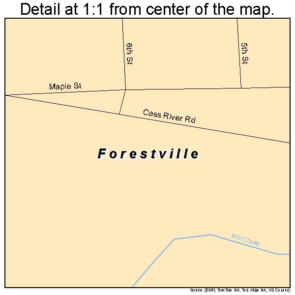 Forestville, Michigan road map detail