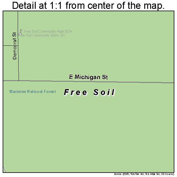 Free Soil, Michigan road map detail