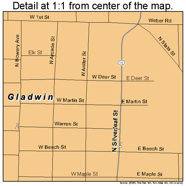 Gladwin, Michigan road map detail