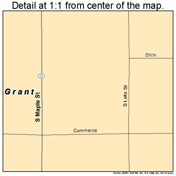 Grant, Michigan road map detail