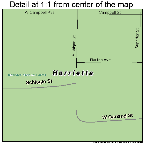 Harrietta, Michigan road map detail