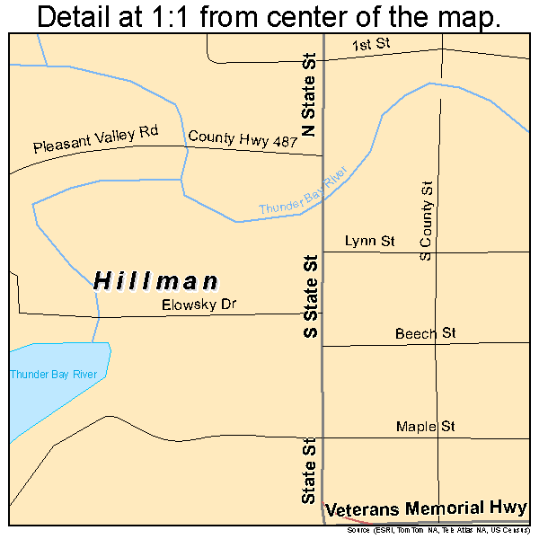 Hillman, Michigan road map detail