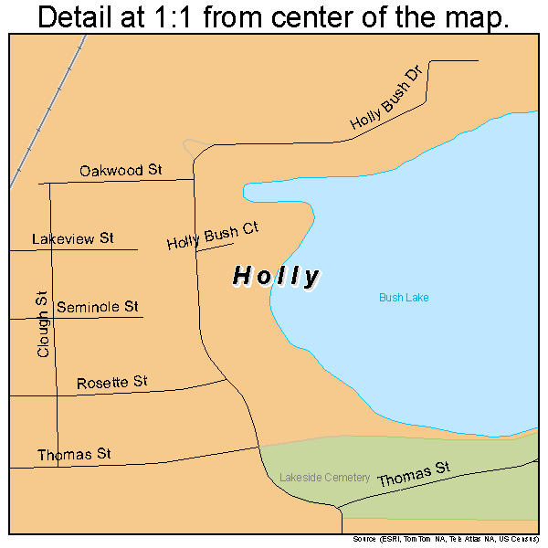 Holly, Michigan road map detail