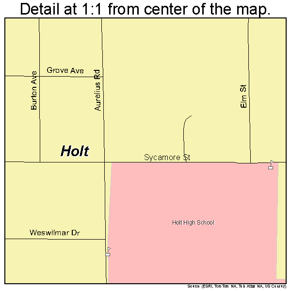 Holt, Michigan road map detail