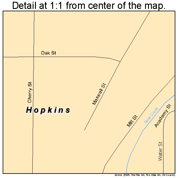 Hopkins, Michigan road map detail