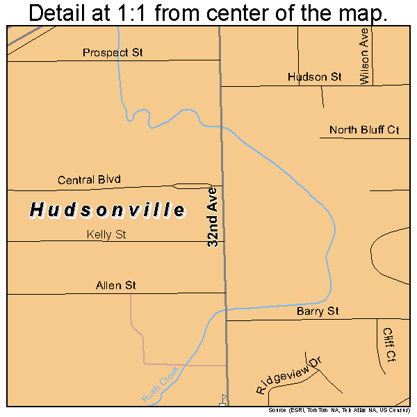 Hudsonville, Michigan road map detail