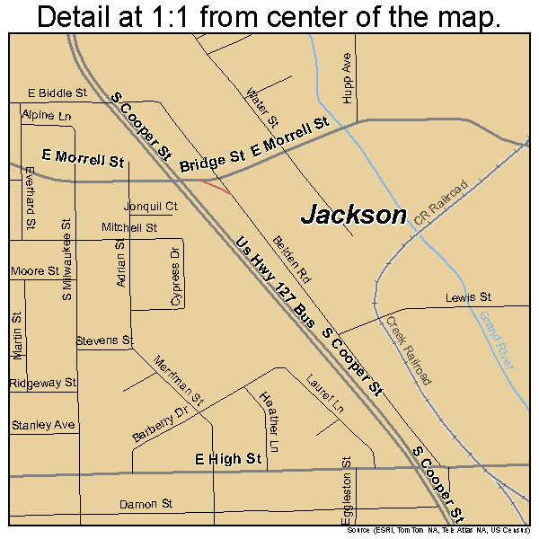 Jackson, Michigan road map detail