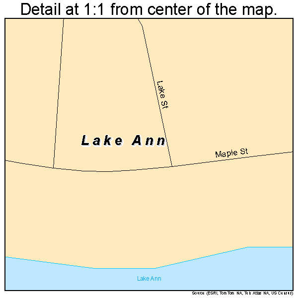 Lake Ann, Michigan road map detail
