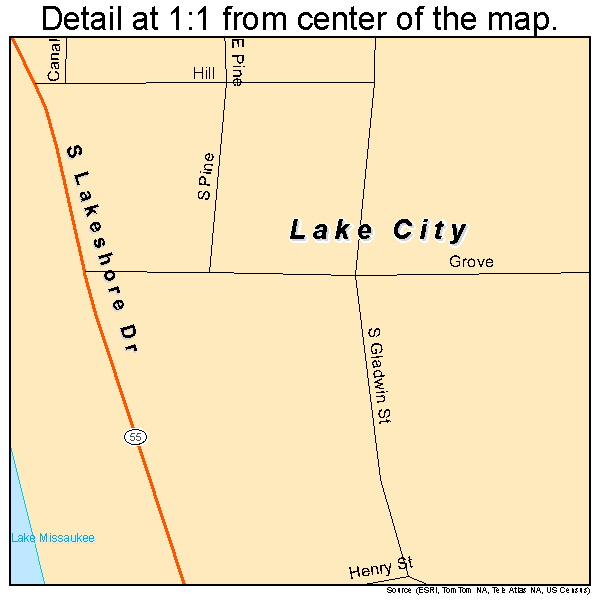 Lake City, Michigan road map detail