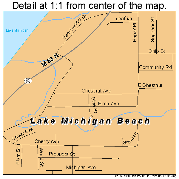 Lake Michigan Beach, Michigan road map detail