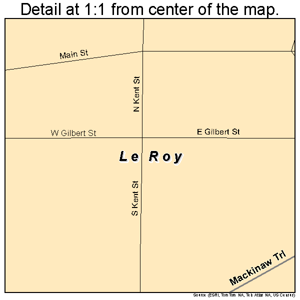 Le Roy, Michigan road map detail